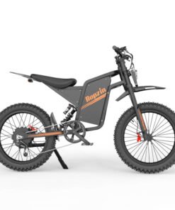 Bopzin Q Electric Bike