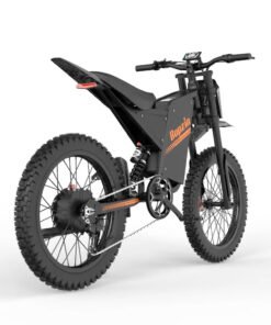 Bopzin Q Electric Bike back view