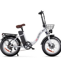 Drvetion CT PRO Fat Tire Ebike