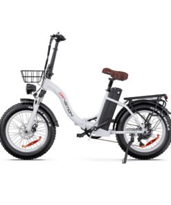 Drvetion CT PRO Fat Tire Ebike