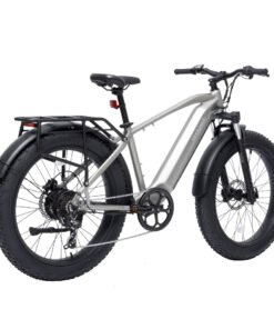 bodywel d fat tire touring ebike long range