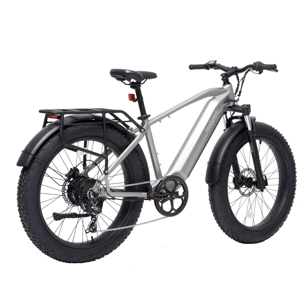 bodywel-d6-fat-tire-touring-ebike-long-range-1711636_1 bodywel d fat tire touring ebike long range