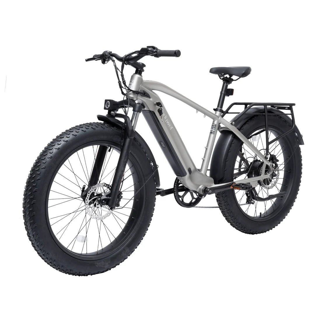 bodywel-d6-fat-tire-touring-ebike-long-range-3111793_1 bodywel d fat tire touring ebike long range