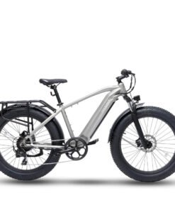 bodywel d fat tire touring ebike long range feeda fcd f af cdcd